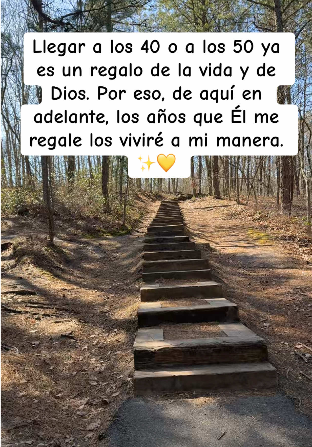 @🌸🎀Judith Garcia🎀🌸