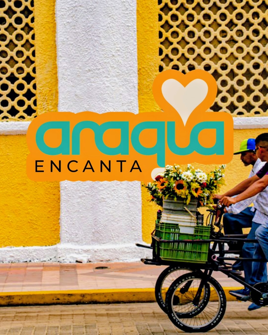 @Viviendas Aragua