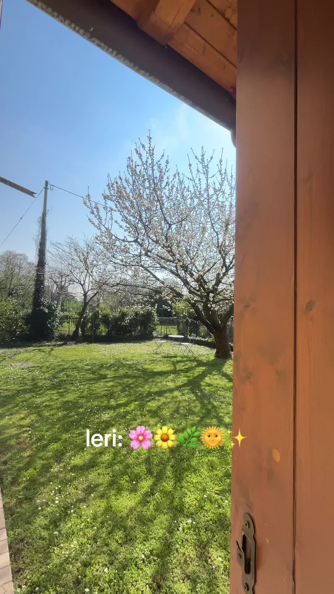 @beeingmontse