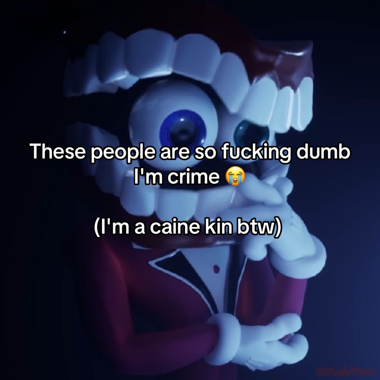 @🪽┆☆ { 𝓐𝓷𝓰𝓮𝓵 } ☆┆🪽