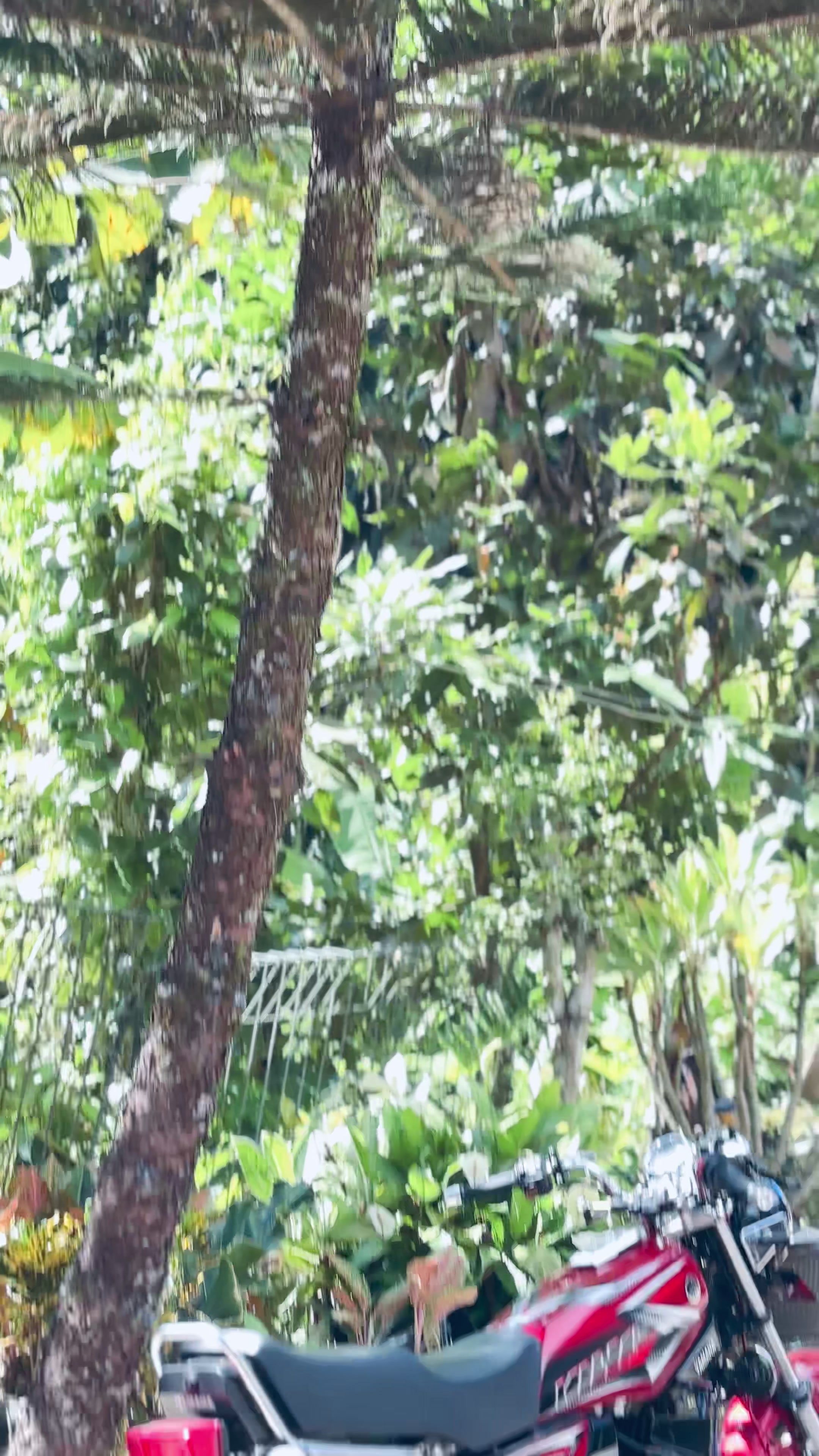 @E🕊️