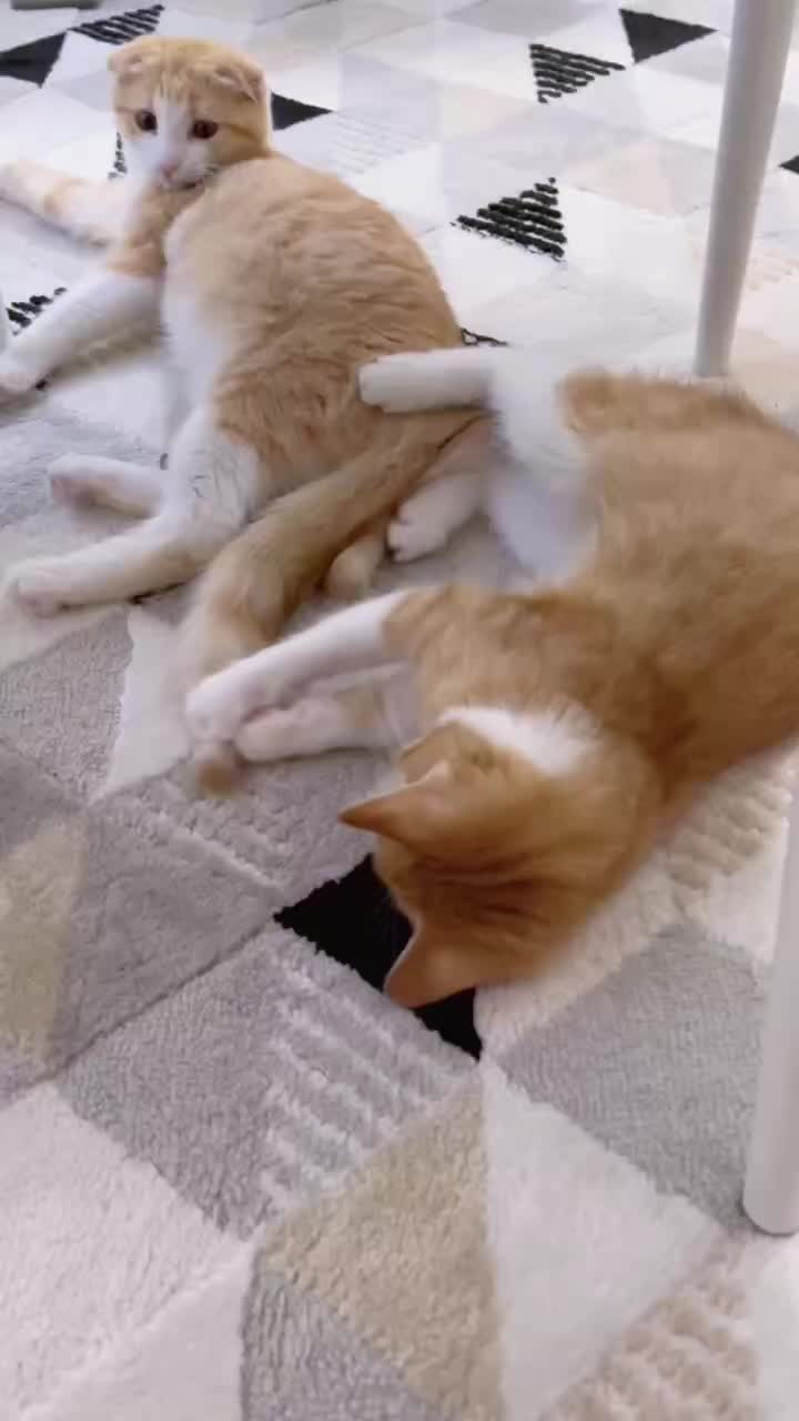 @マロン