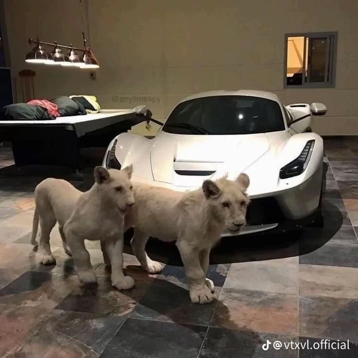 @Слава