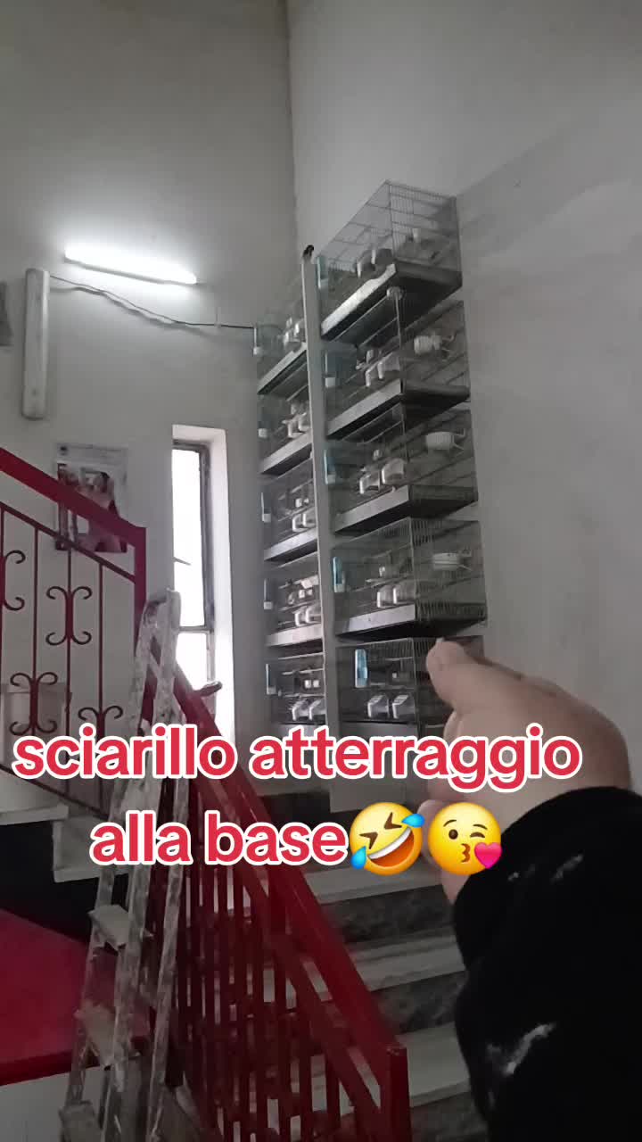 @Leonardo Dellacorte