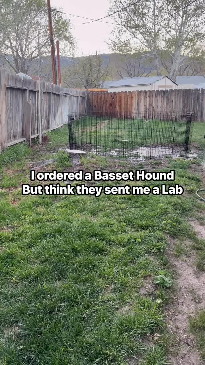 @ruledbyhounds