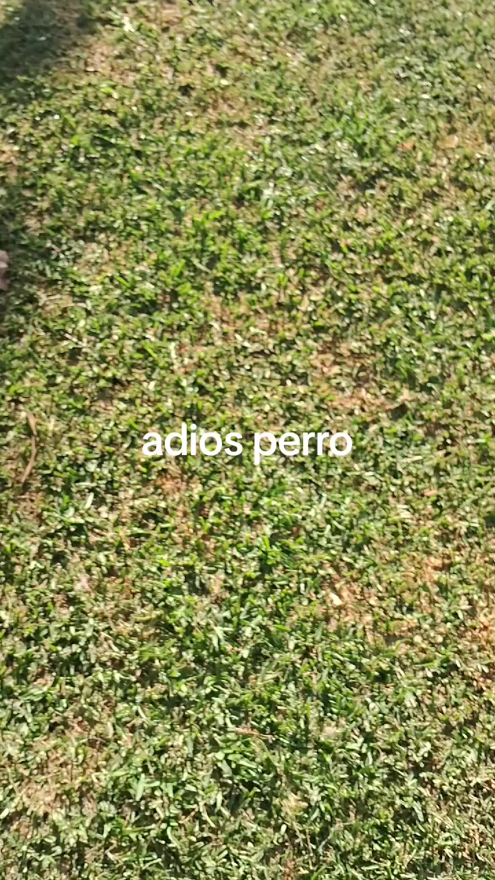 @Delmy cabrera