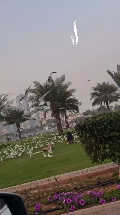@𝓒𝓱𝓸𝓾𝓭𝓱𝓪𝓻𝔂