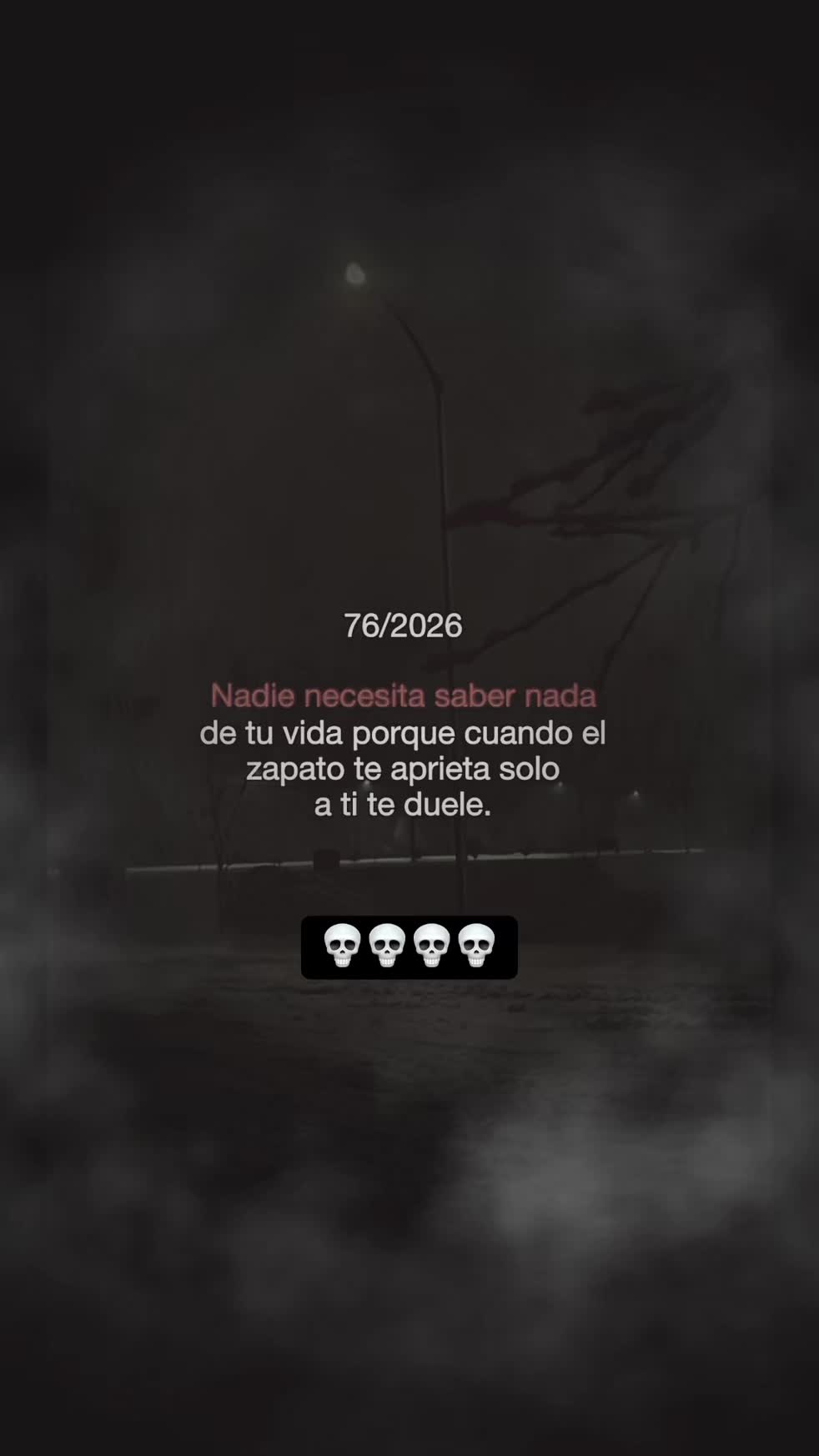 @Mora 👽