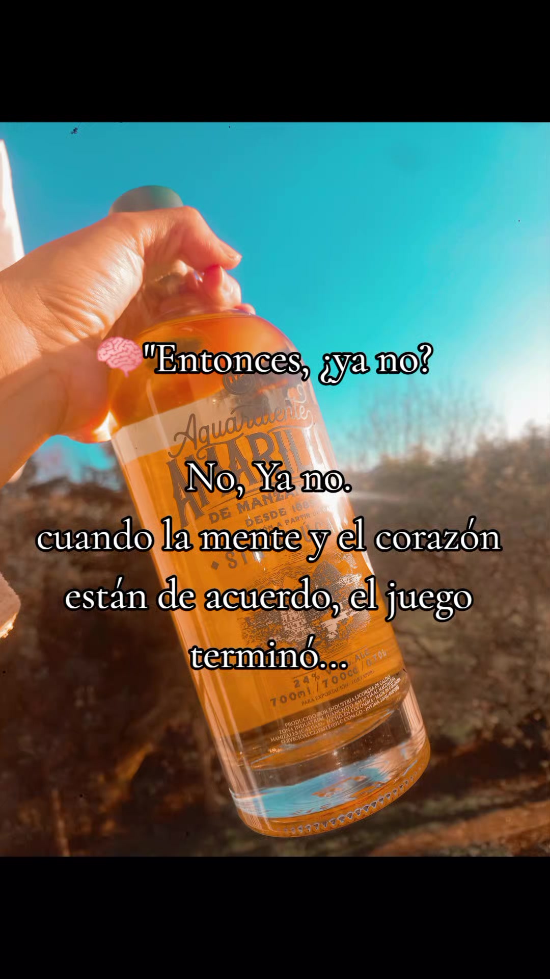 @carolina🦋✨🧨