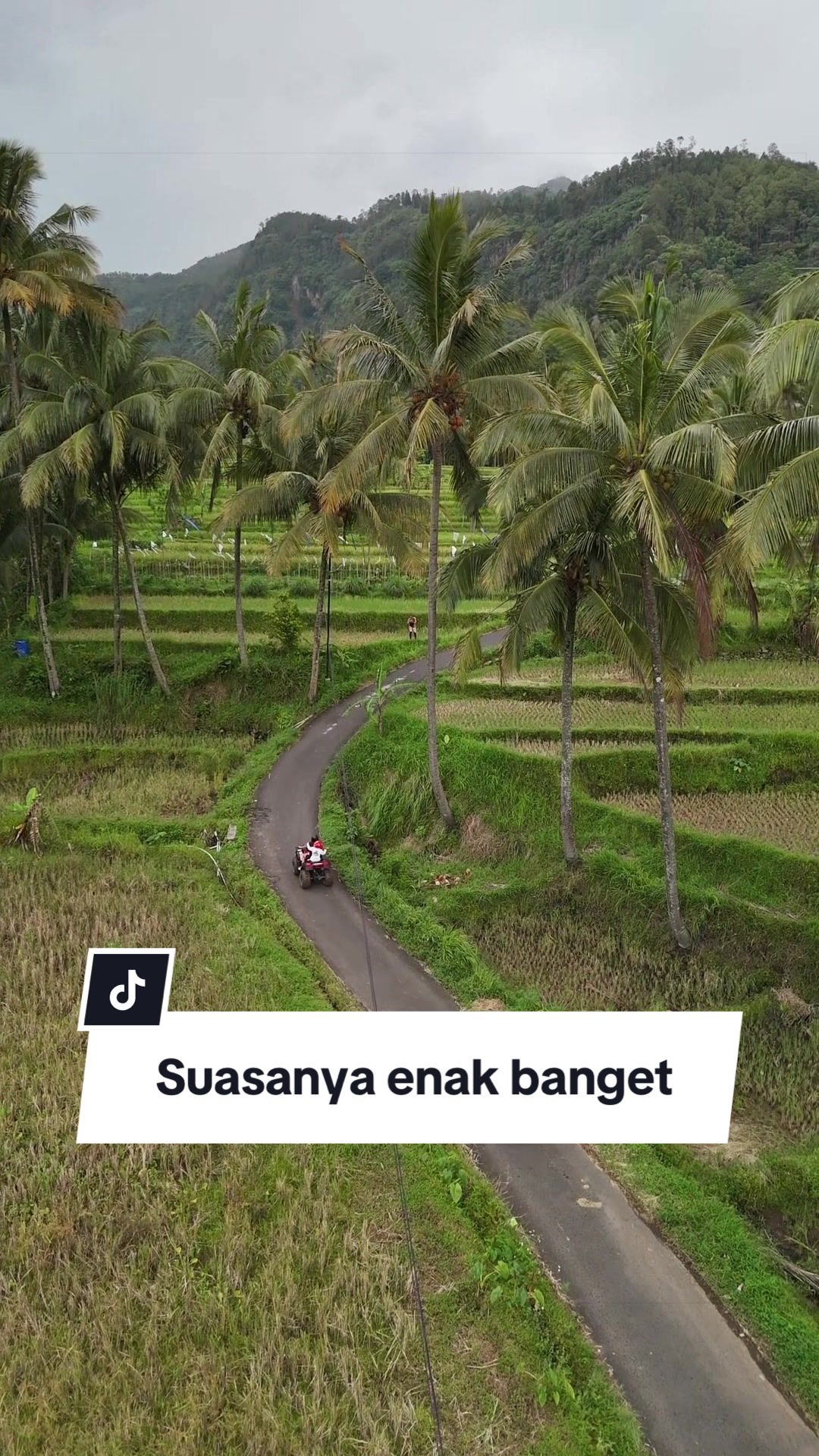 @niko febriyanto