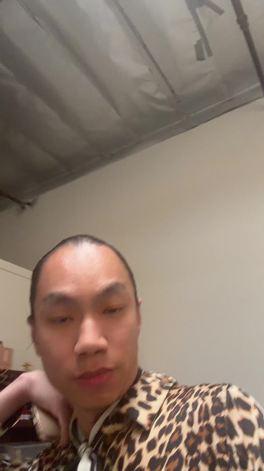 @auroradonorigins
