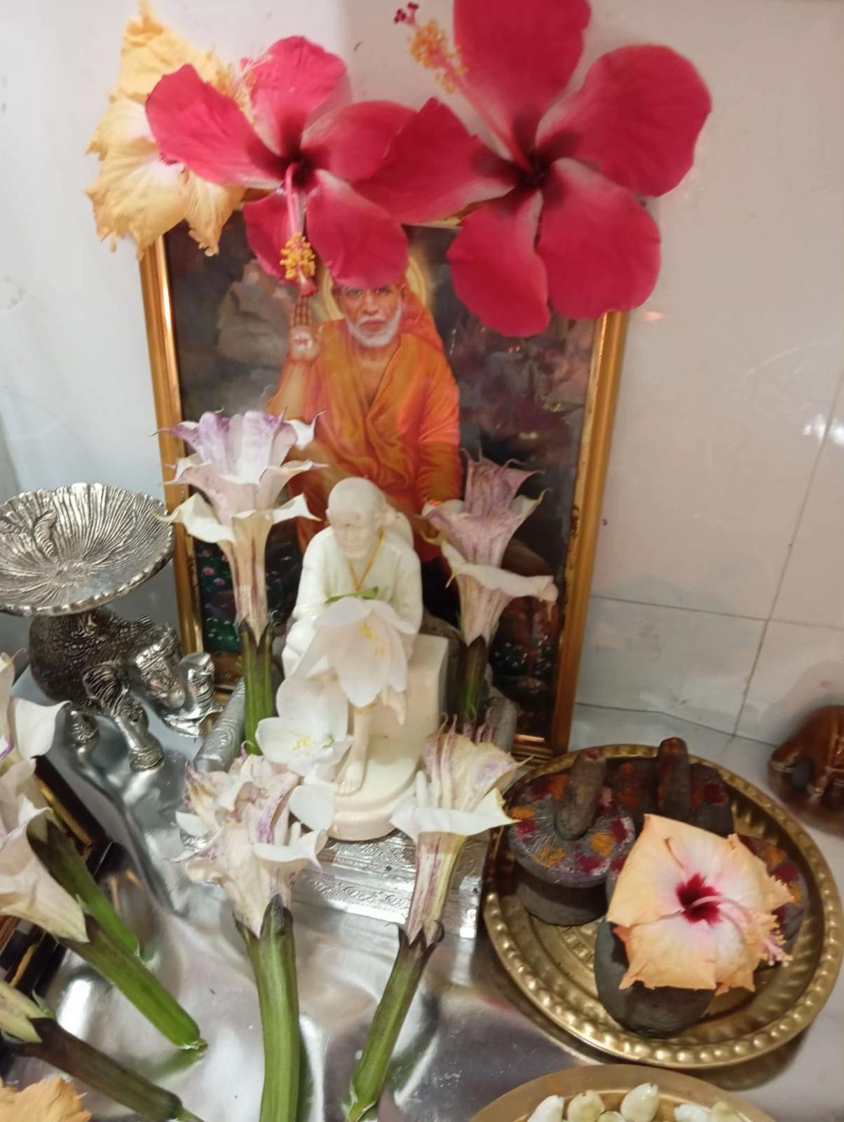 @Hindudevoter