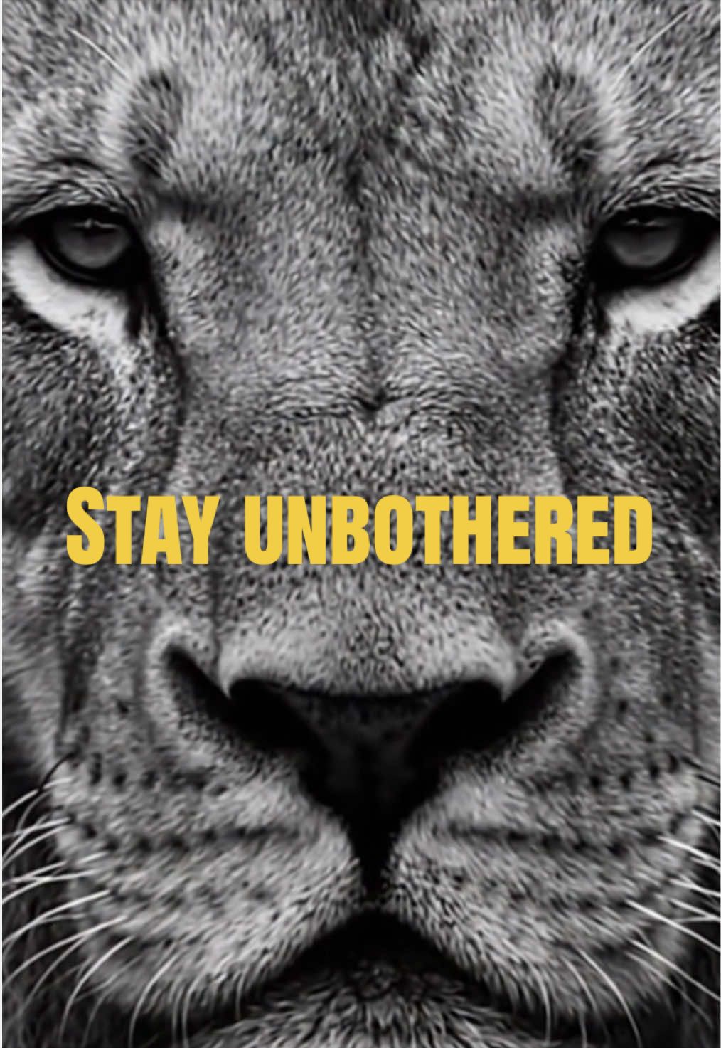 @Rise.and.dominate
