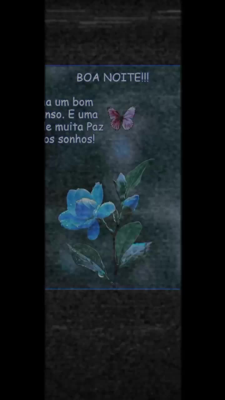 @joaodesa150