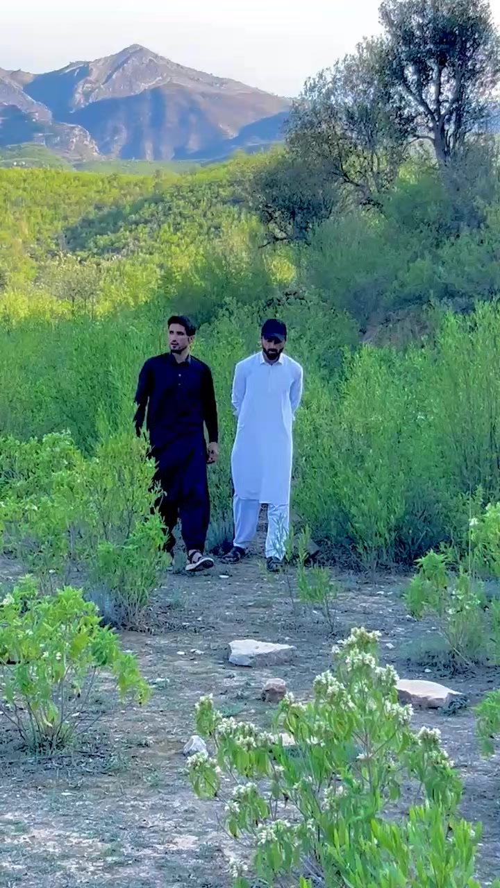 @🍁Rahid Afridi🍁