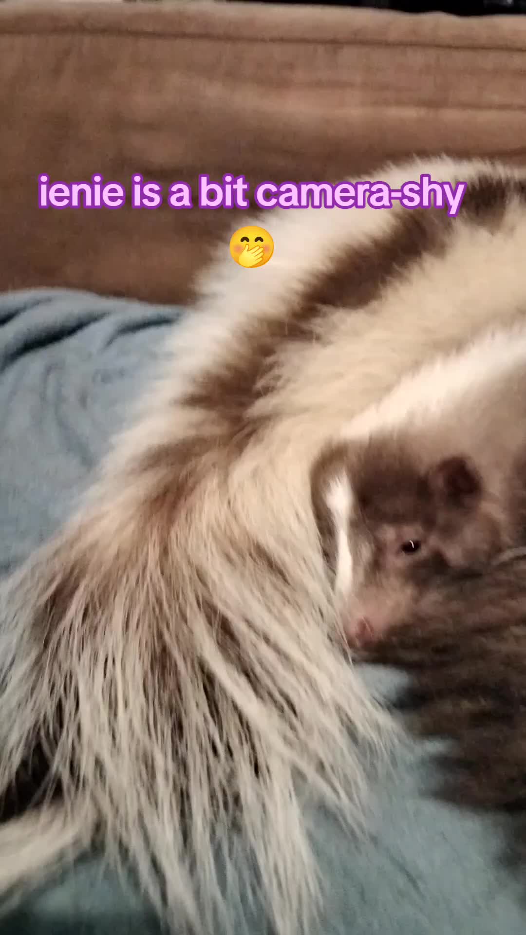 @Bestiesbeasties
