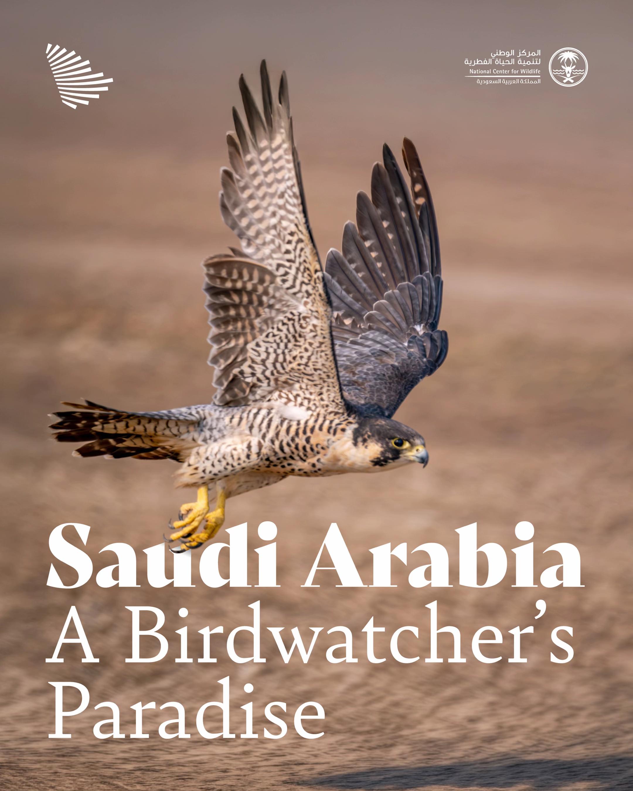 @CIC Saudi Arabia