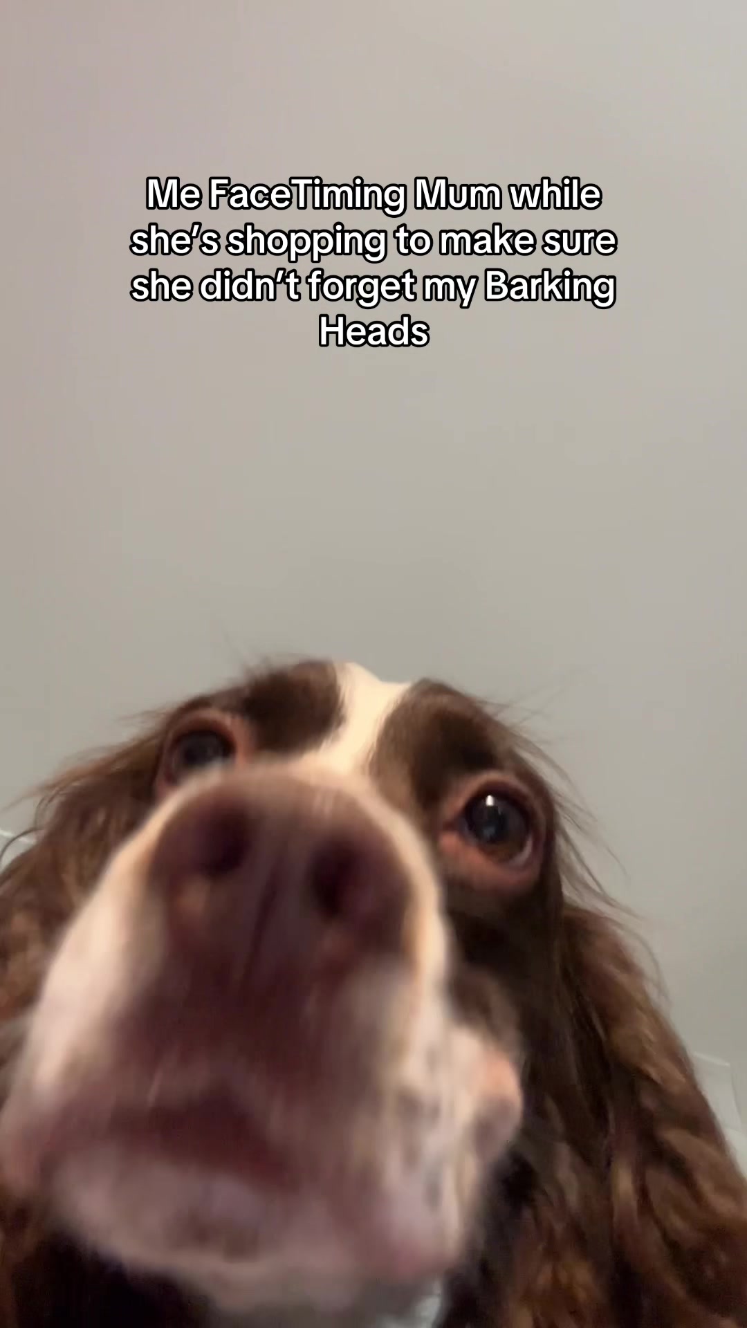 @Barking Heads Dog Food