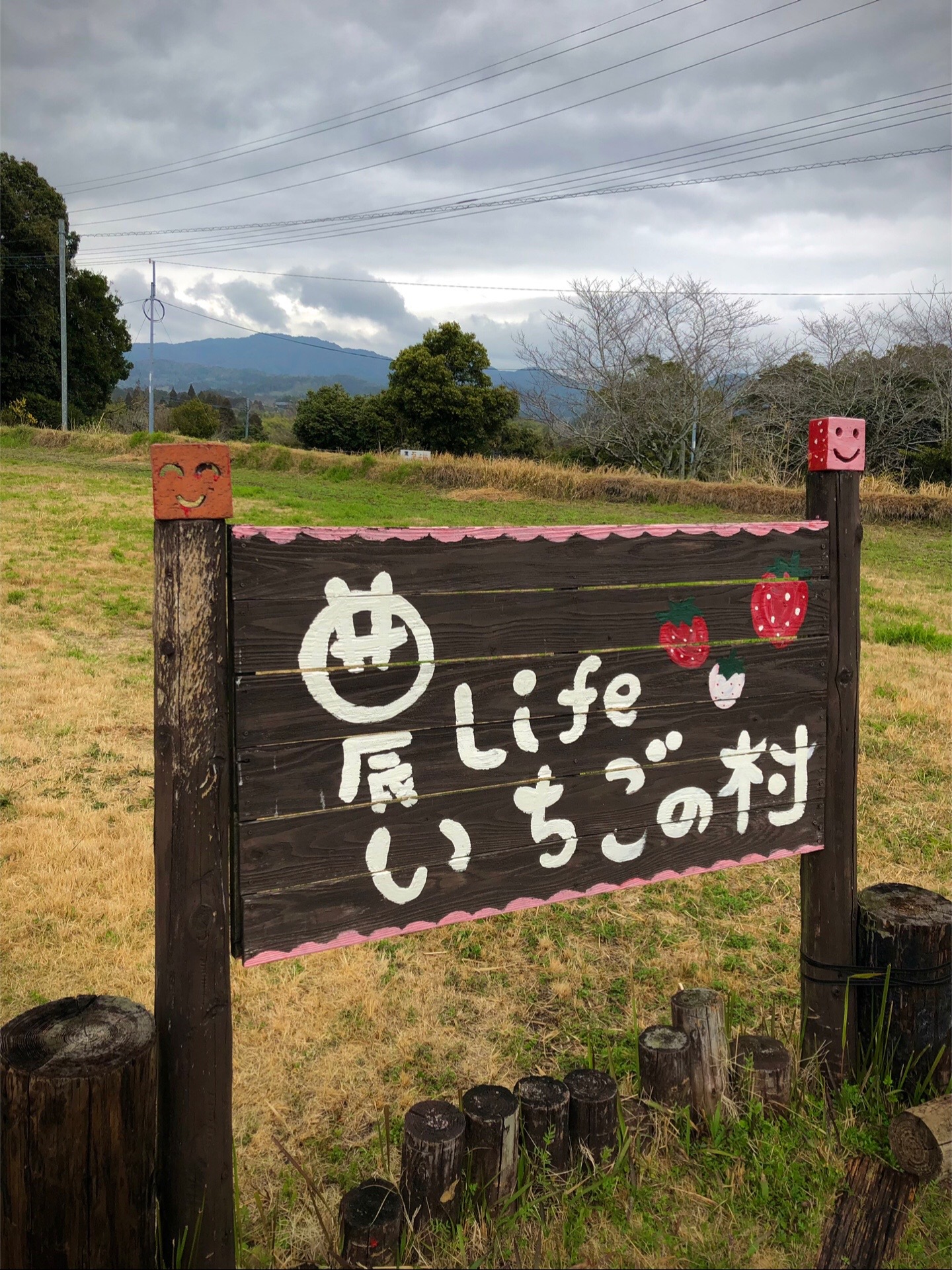 @Seichan🐸全国旅
