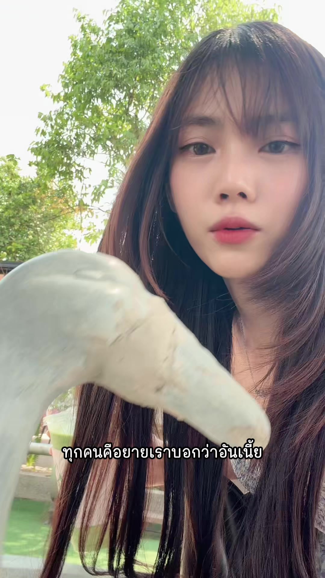 @คูมครูขิม