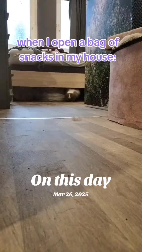 @Bestiesbeasties