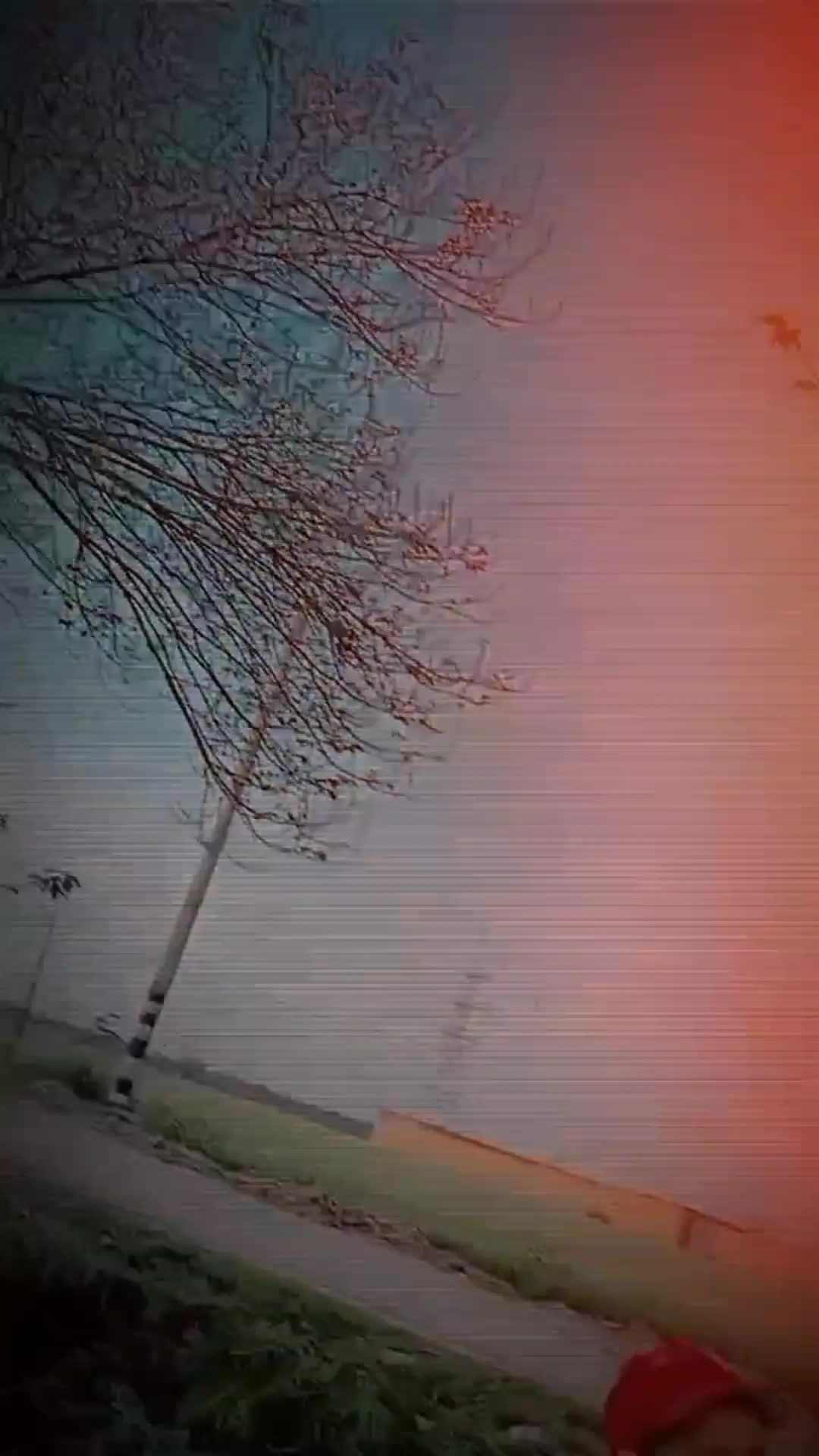 @❌ 𝙕𝙤𝙝𝙖𝙞𝙗_𝟯𝟬𝟮 👽