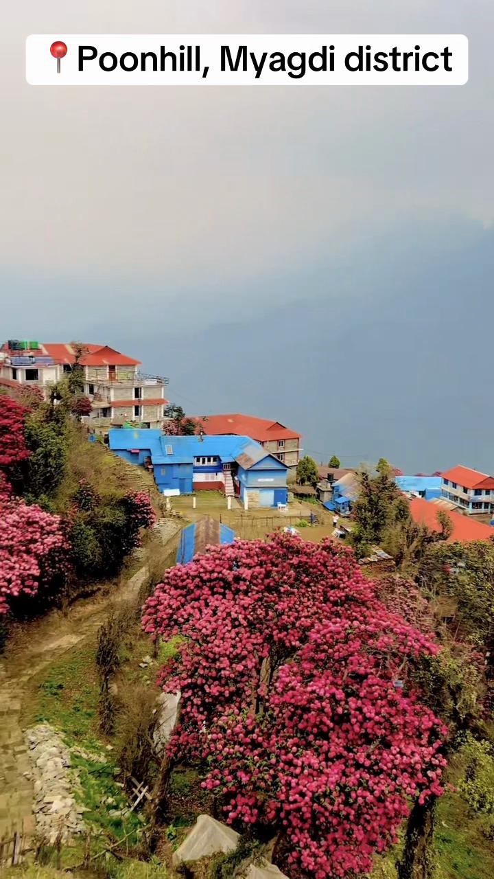 @Subas Pandey🏃&zwj;♂️🤷&zwj;♂️🇳🇵
