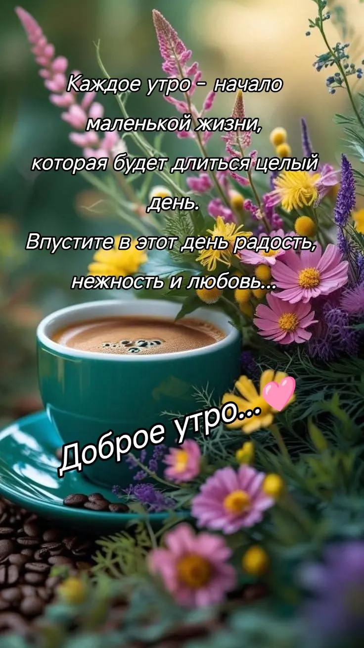 @Elza