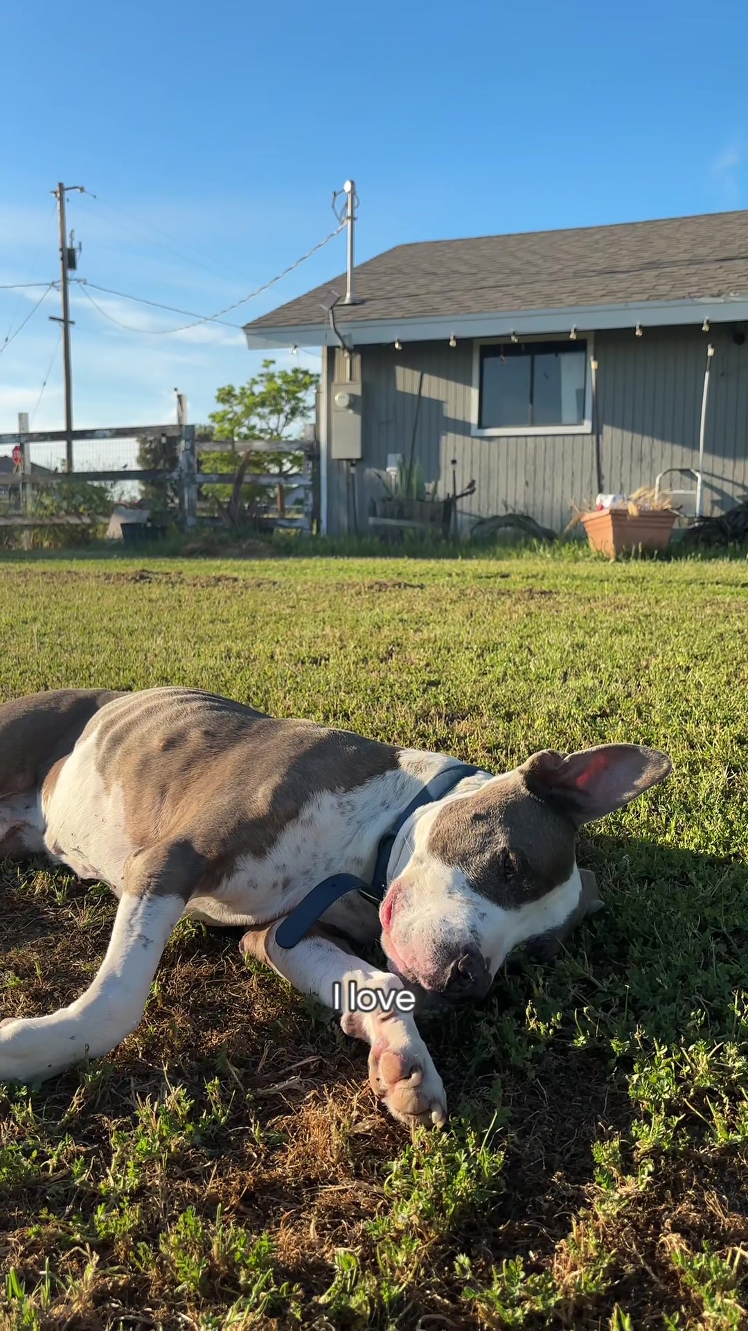 @caponethepitty