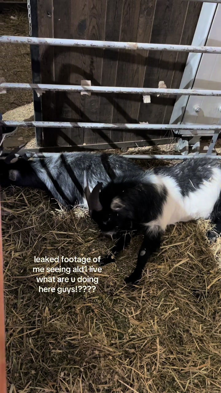 @mars