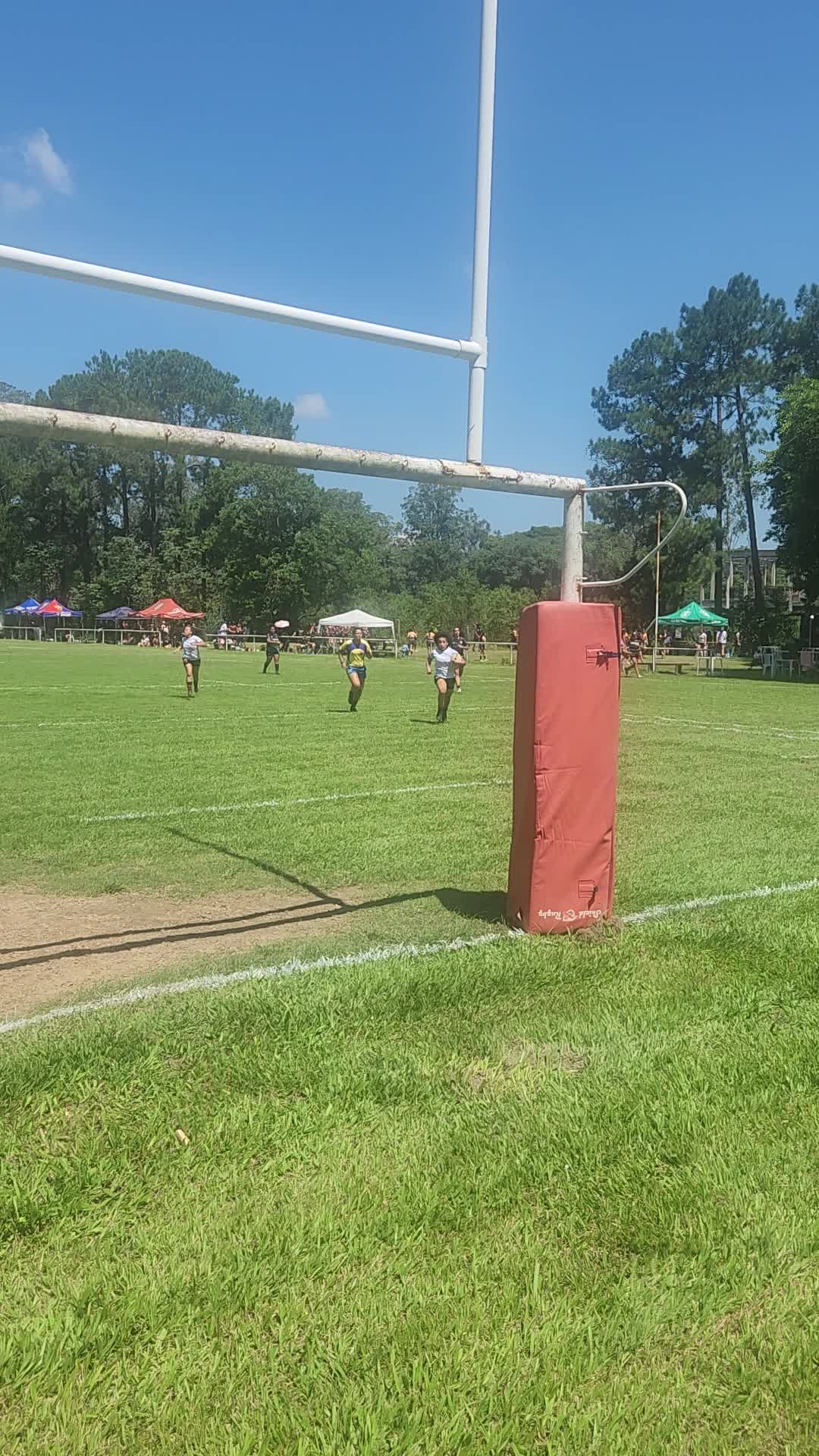 @Jacare&iacute; Rugby