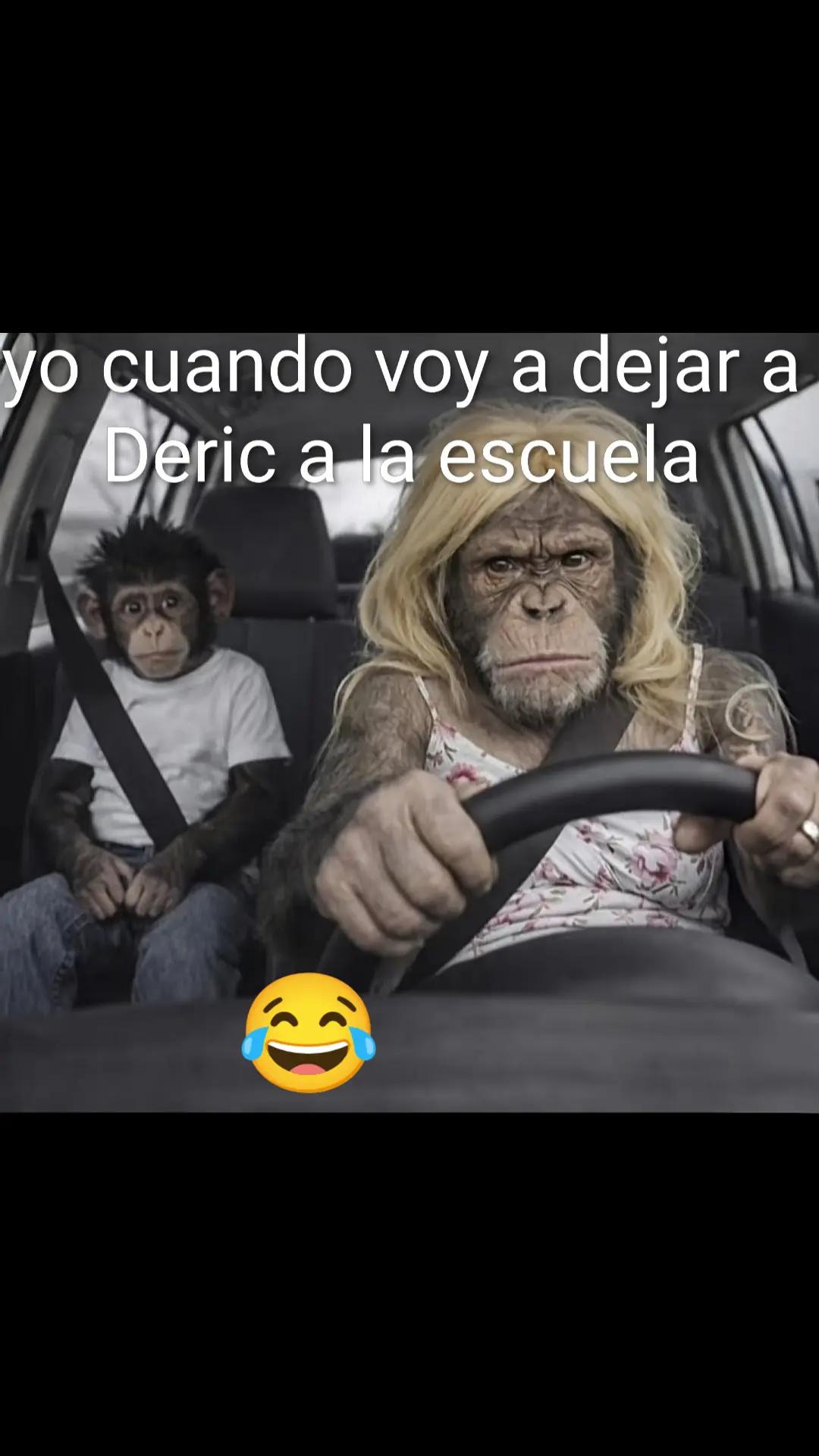 @DeeVee