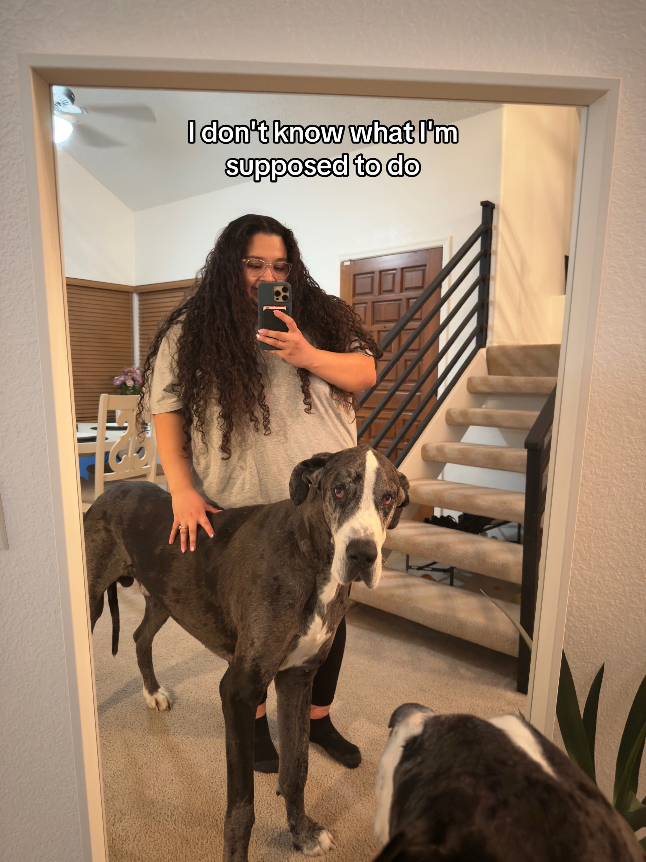 @Linkin the Dane