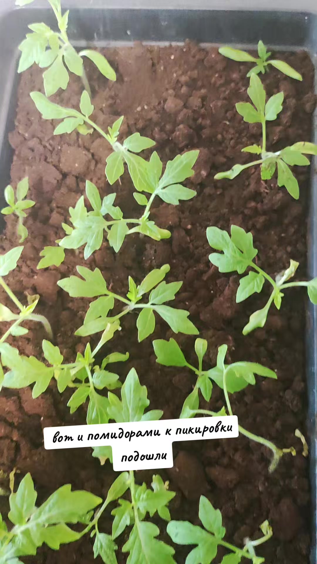 @Светлана Усова