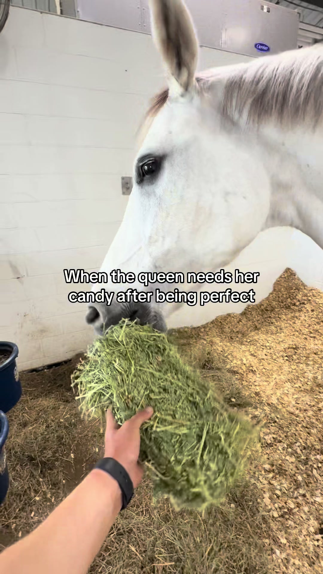 @Landon