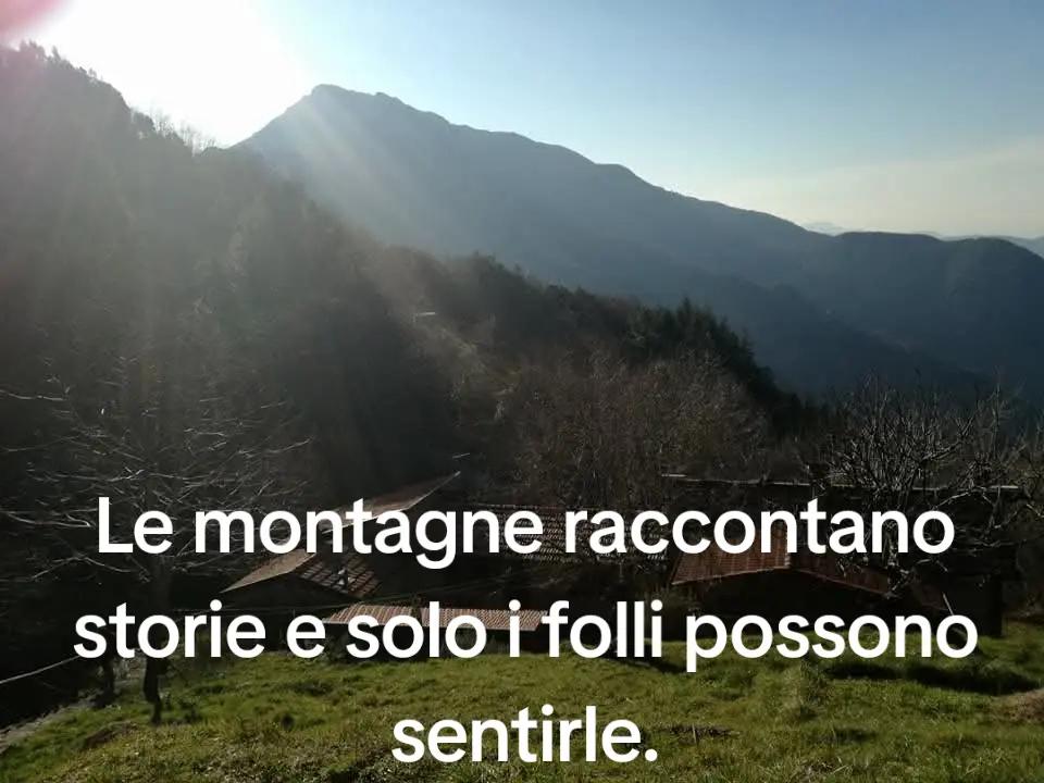 @Donatella Dori