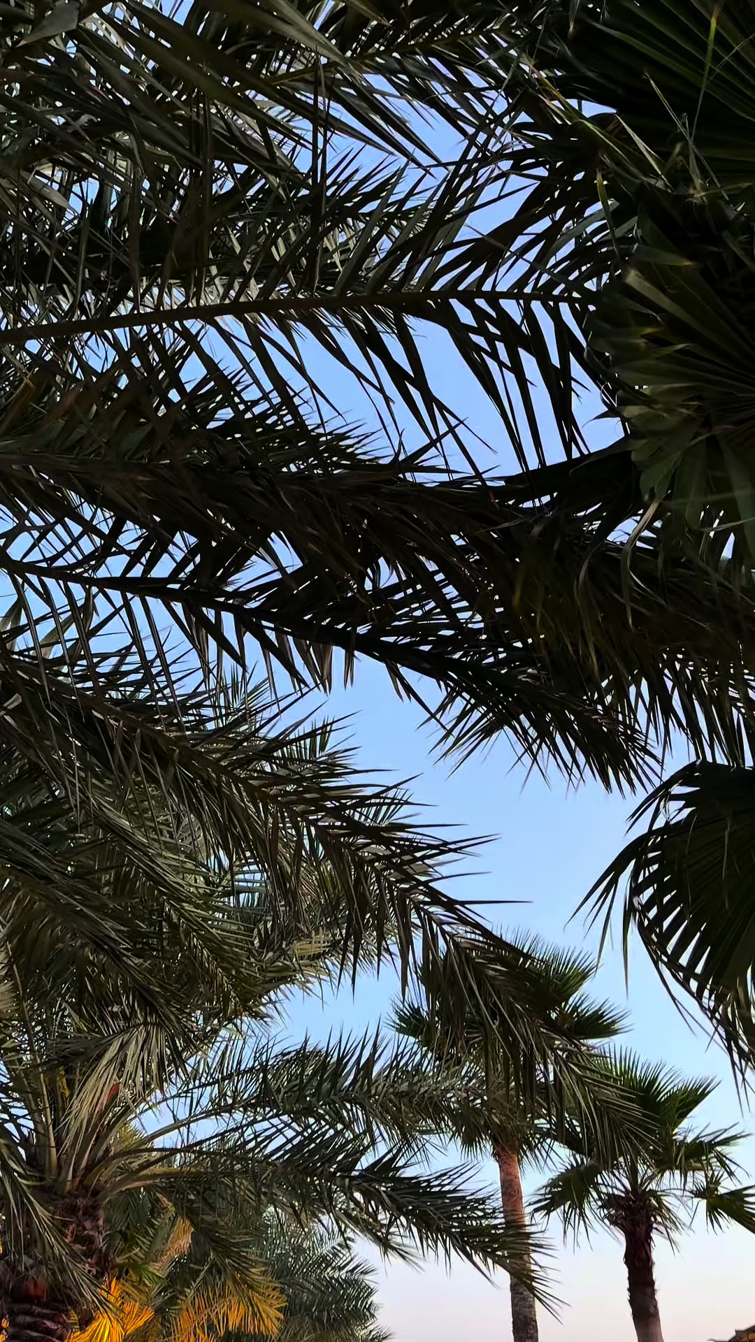@ZᥲᎥᥒᥲᏰ𐙚