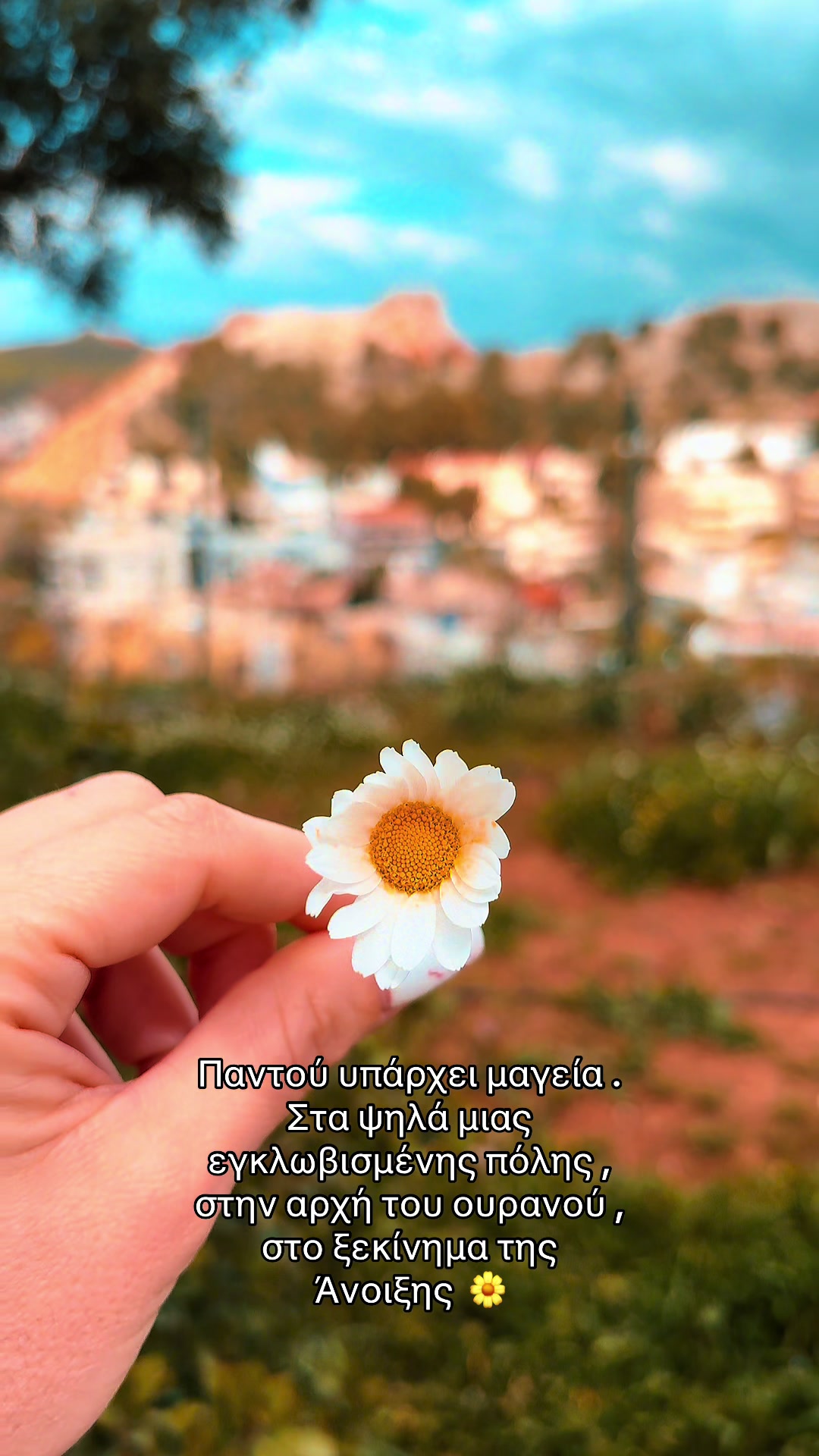 @olga