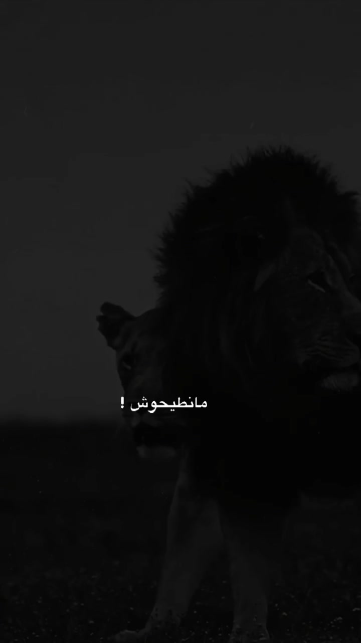 @⚜️👑الكاسح السوري👑⚜️