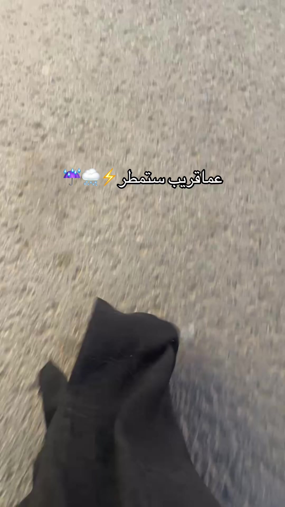 @جوري المدخلي