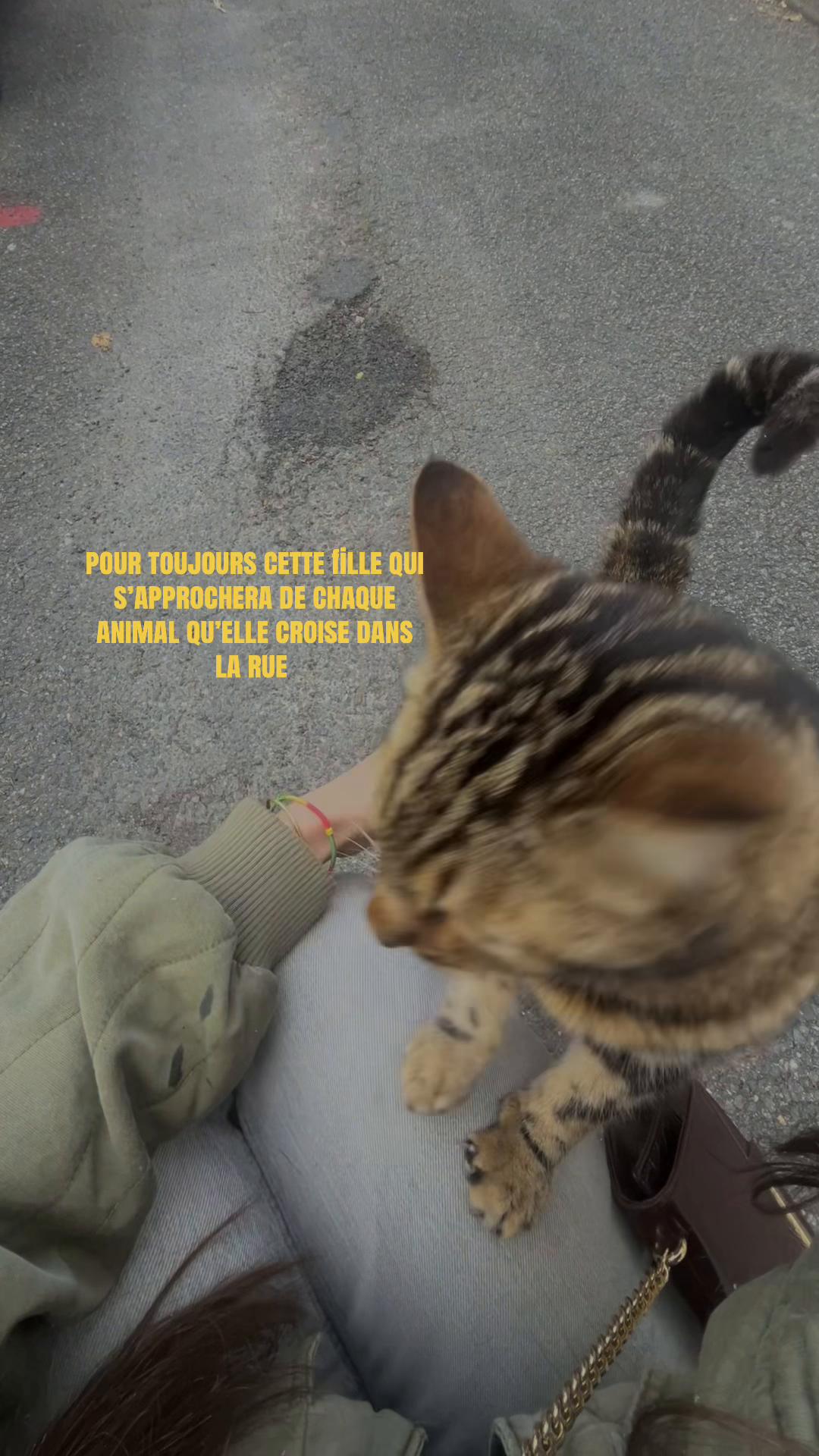 @☾☼