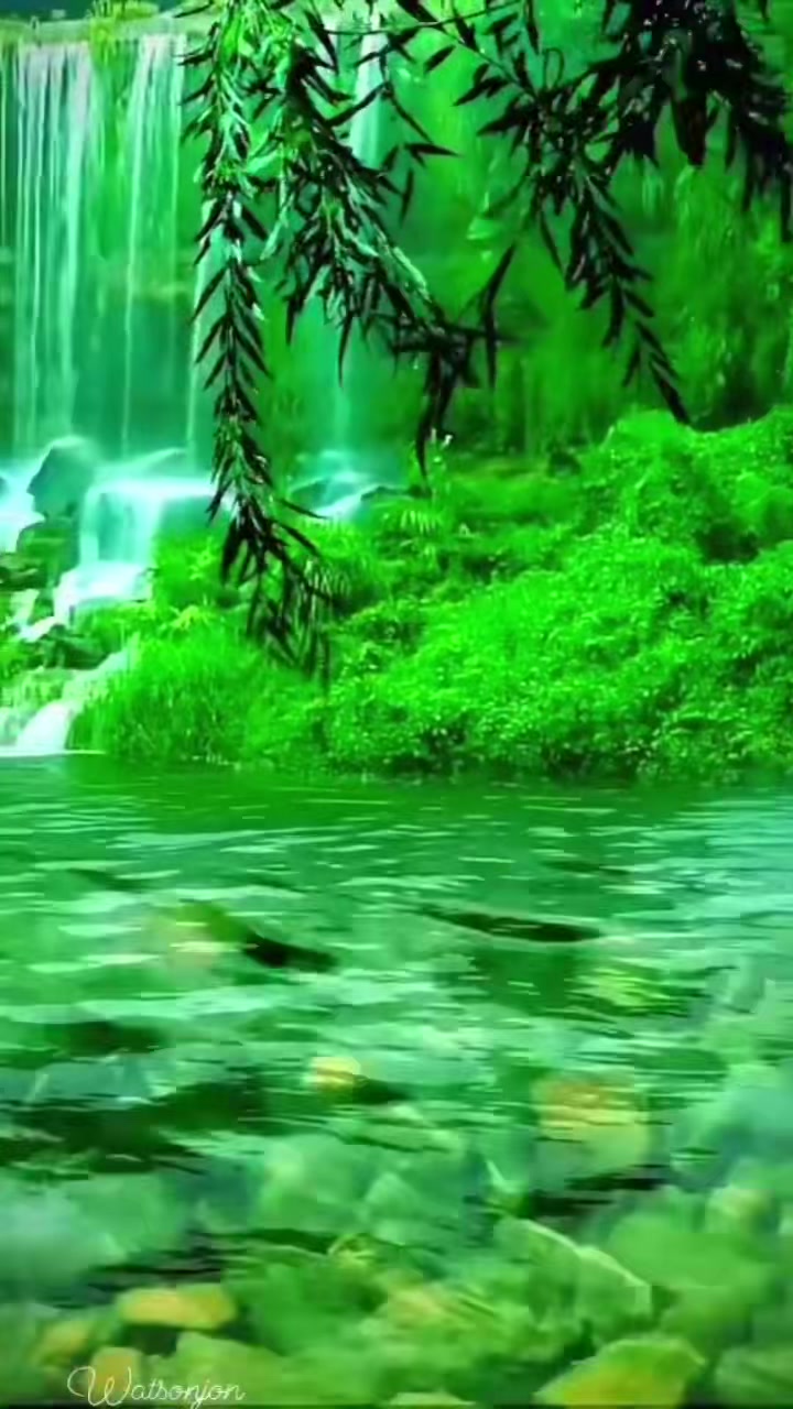 @Bharat Rai