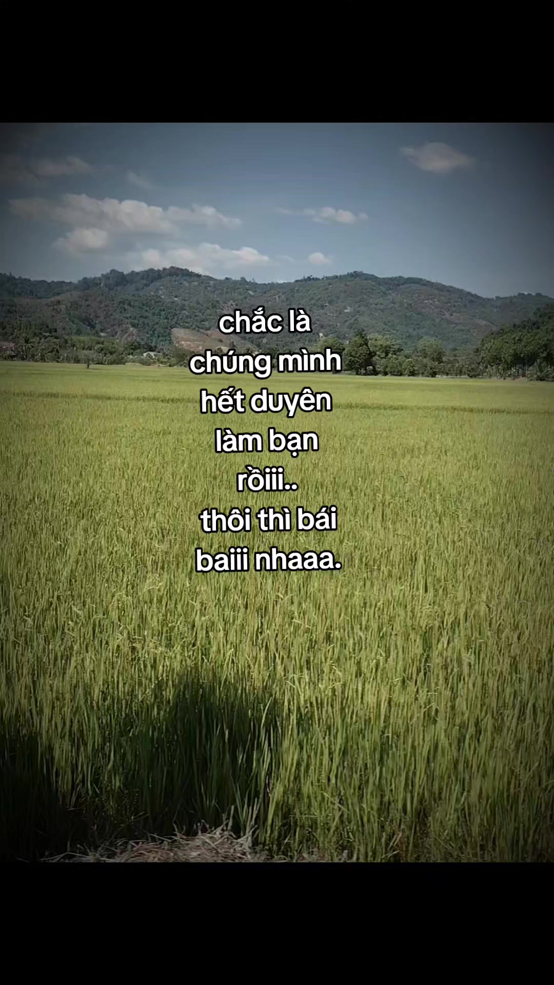 @kt