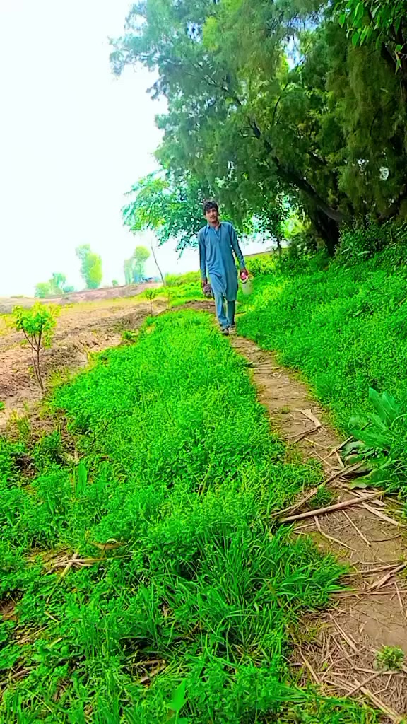 @Ihasan
