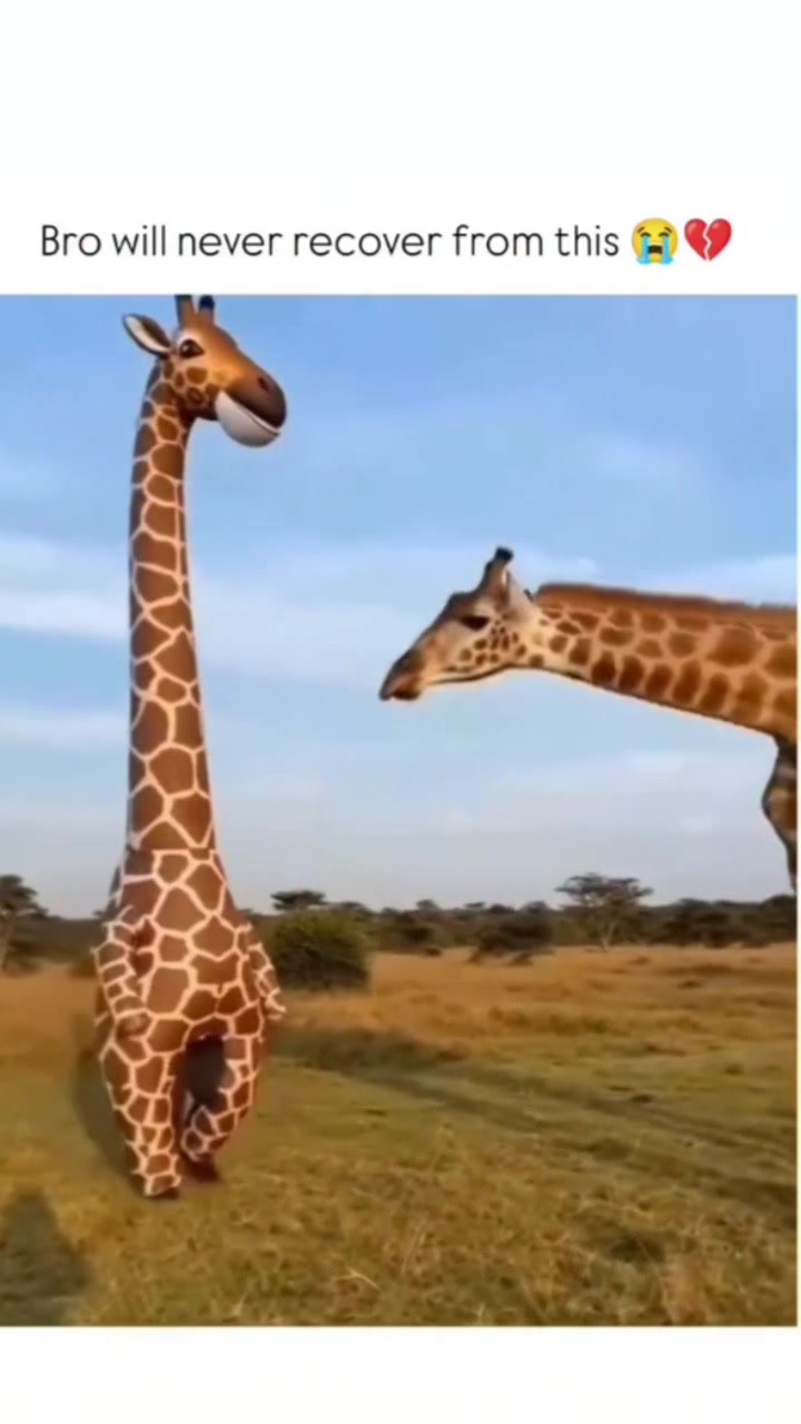 @Stretch