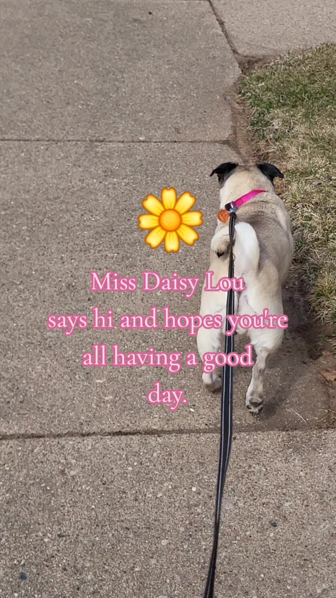 @kellymarie117