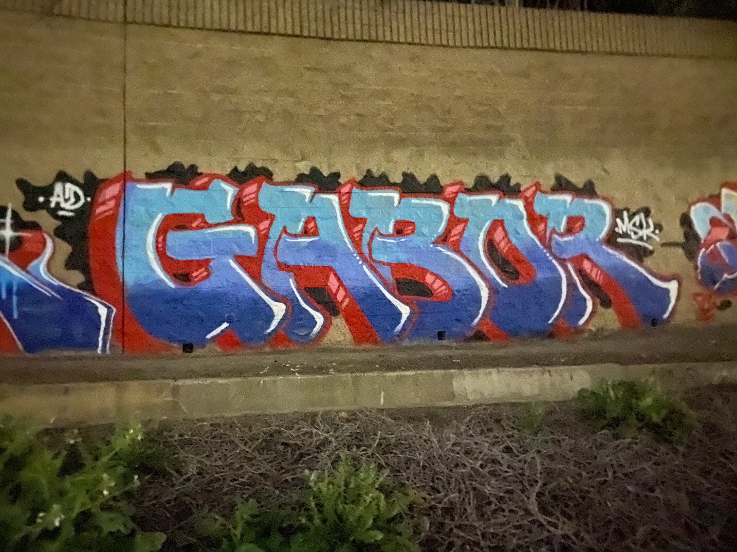 @GaborMSK.AD.TSL