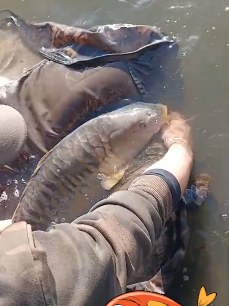 @stottys fishing official