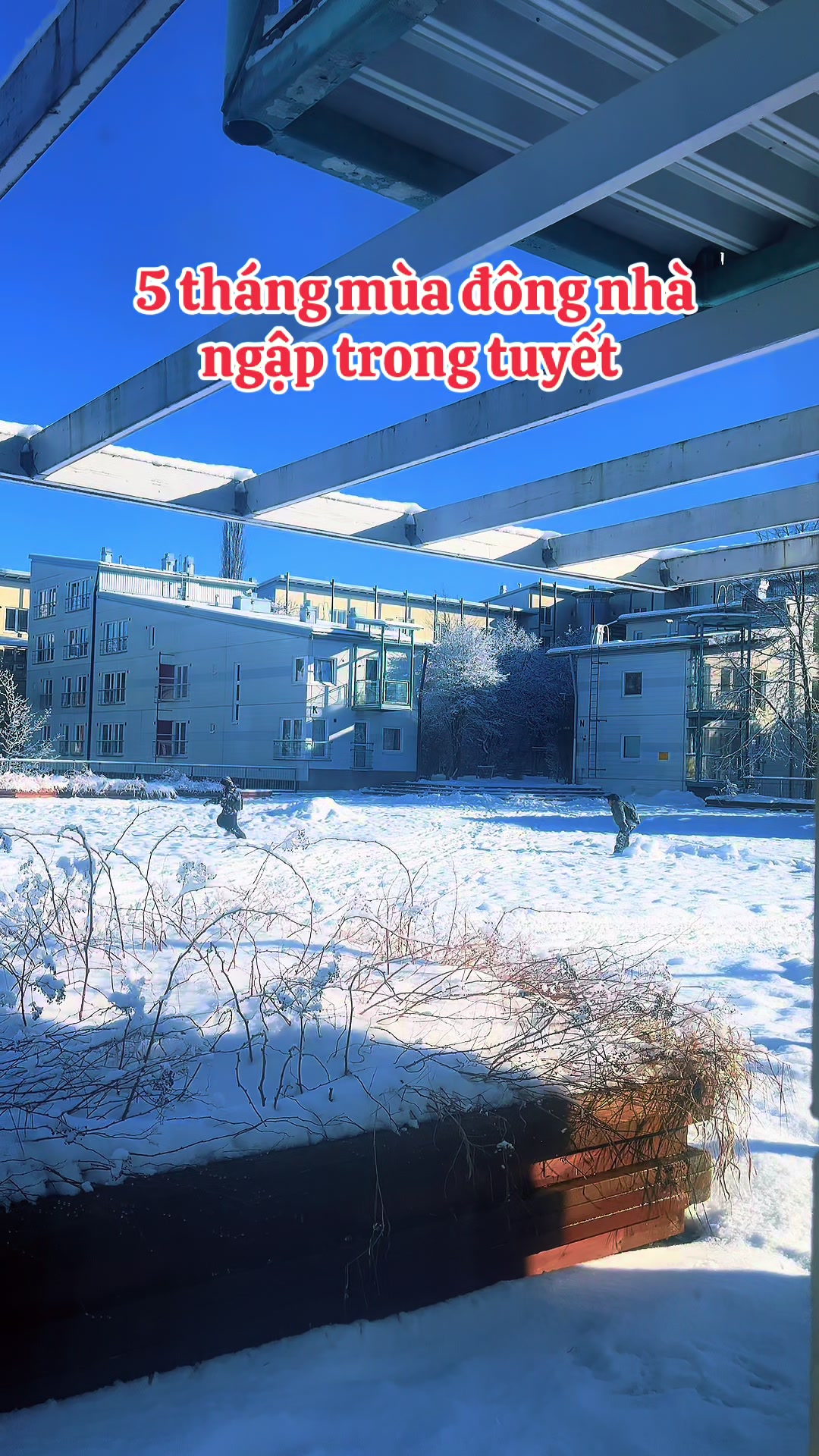 @LiLy Ở Phần Lan🇻🇳🇫🇮