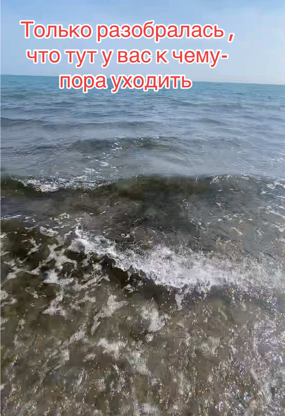 @Svetlana_dumbrova